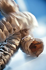 Paperplus Chevron von CEPAQ GmbH